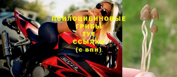 дурь Баксан