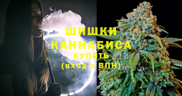 сатива Балахна