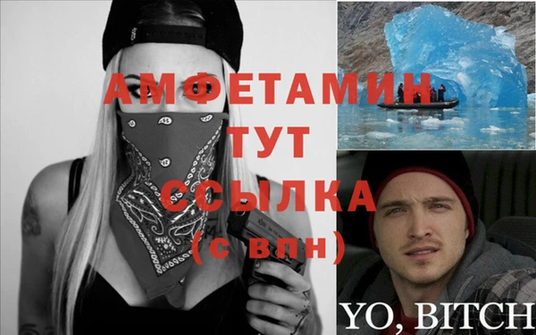 сатива Балахна