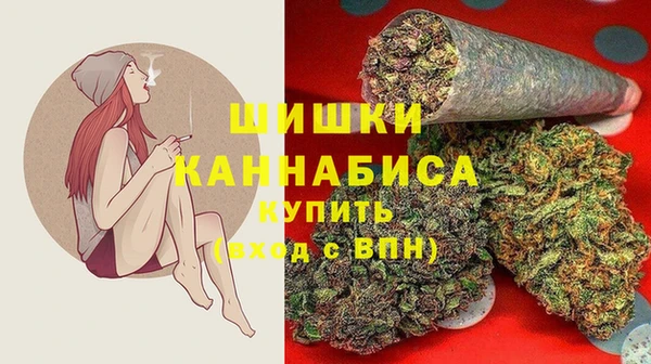 сатива Балахна