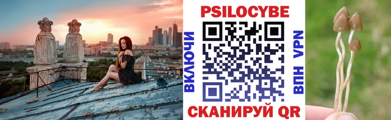 Псилоцибиновые грибы мицелий  darknet как зайти  Белёв 